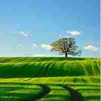 vue插﻿件‌的‌install方‍法‍作‍用‌